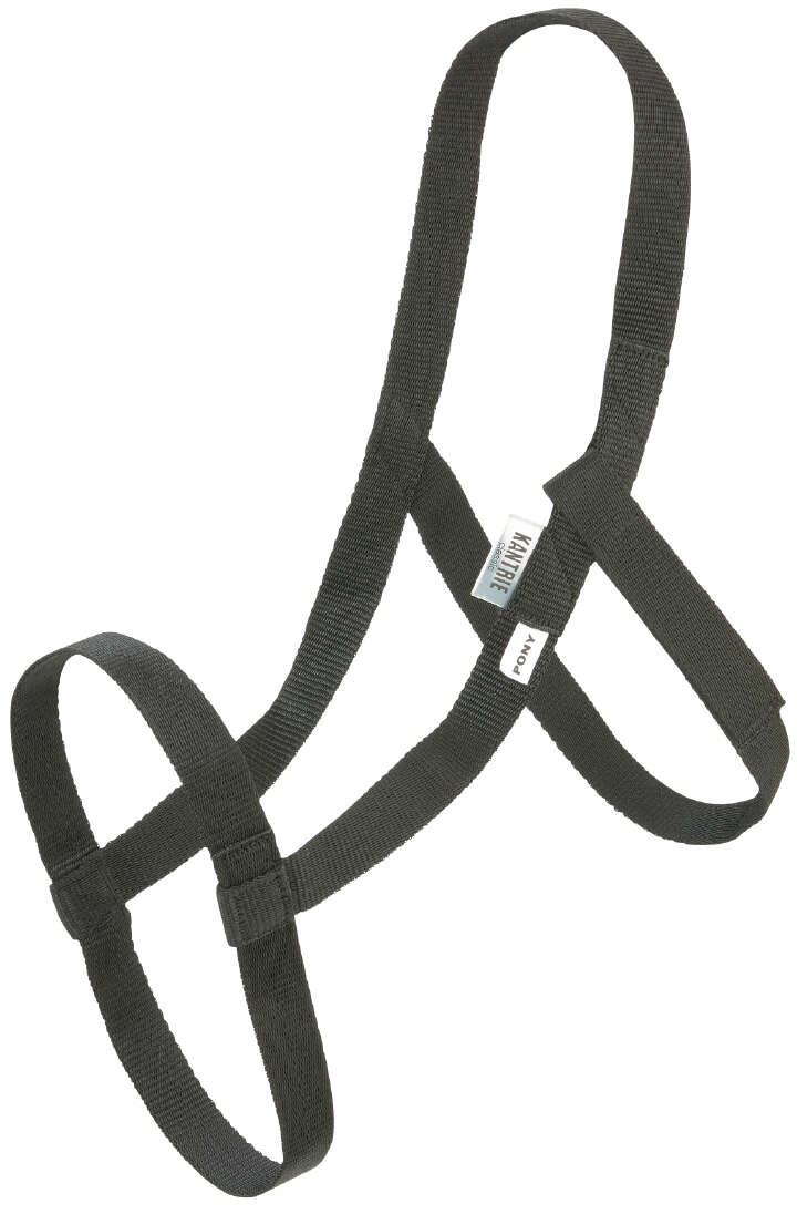 KANTRIE Weidehalfter